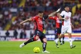 articulo relacionado