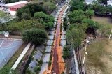 articulo relacionado