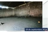 articulo relacionado