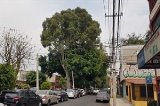 articulo relacionado