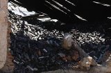 articulo relacionado
