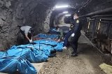 articulo relacionado