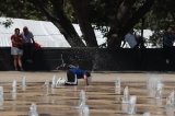 articulo relacionado