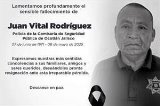 articulo relacionado
