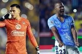 articulo relacionado