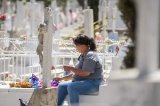 articulo relacionado