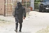 articulo relacionado