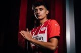 articulo relacionado
