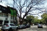 articulo relacionado