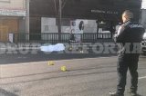 articulo relacionado