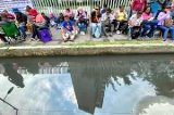 articulo relacionado
