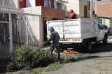 articulo relacionado
