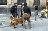 articulo relacionado