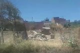 articulo relacionado