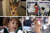 articulo relacionado