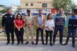 articulo relacionado