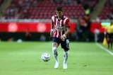 articulo relacionado