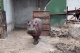 articulo relacionado