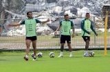 articulo relacionado
