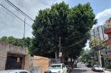 articulo relacionado