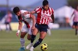 articulo relacionado