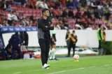 articulo relacionado