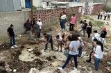 articulo relacionado