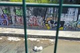 articulo relacionado