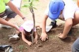 articulo relacionado