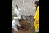 articulo relacionado