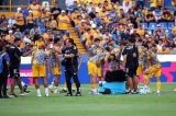 articulo relacionado