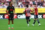 articulo relacionado