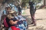 articulo relacionado