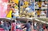articulo relacionado