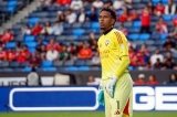 articulo relacionado