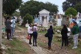 articulo relacionado