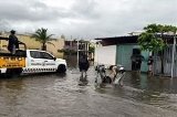 articulo relacionado