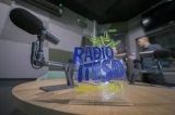 articulo relacionado