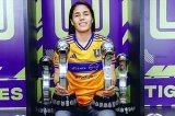 articulo relacionado