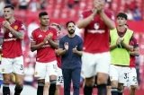 articulo relacionado