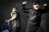 articulo relacionado
