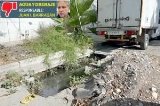 articulo relacionado