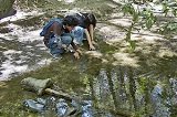 articulo relacionado