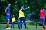 articulo relacionado
