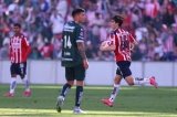 articulo relacionado