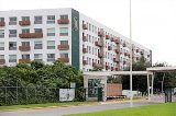 articulo relacionado