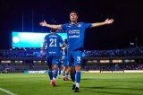 articulo relacionado