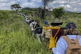 articulo relacionado