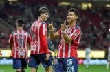 articulo relacionado