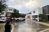 articulo relacionado
